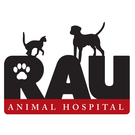 Rau Animal Hospital Logo with a paw image inside R and a cat standing on R and a dog standing on A and U.  Rau is in black letters.  Animal Hospital is in white letters on a red background.