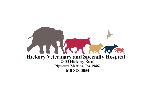 Hickory Veterinary and Specialty Hospital Logo