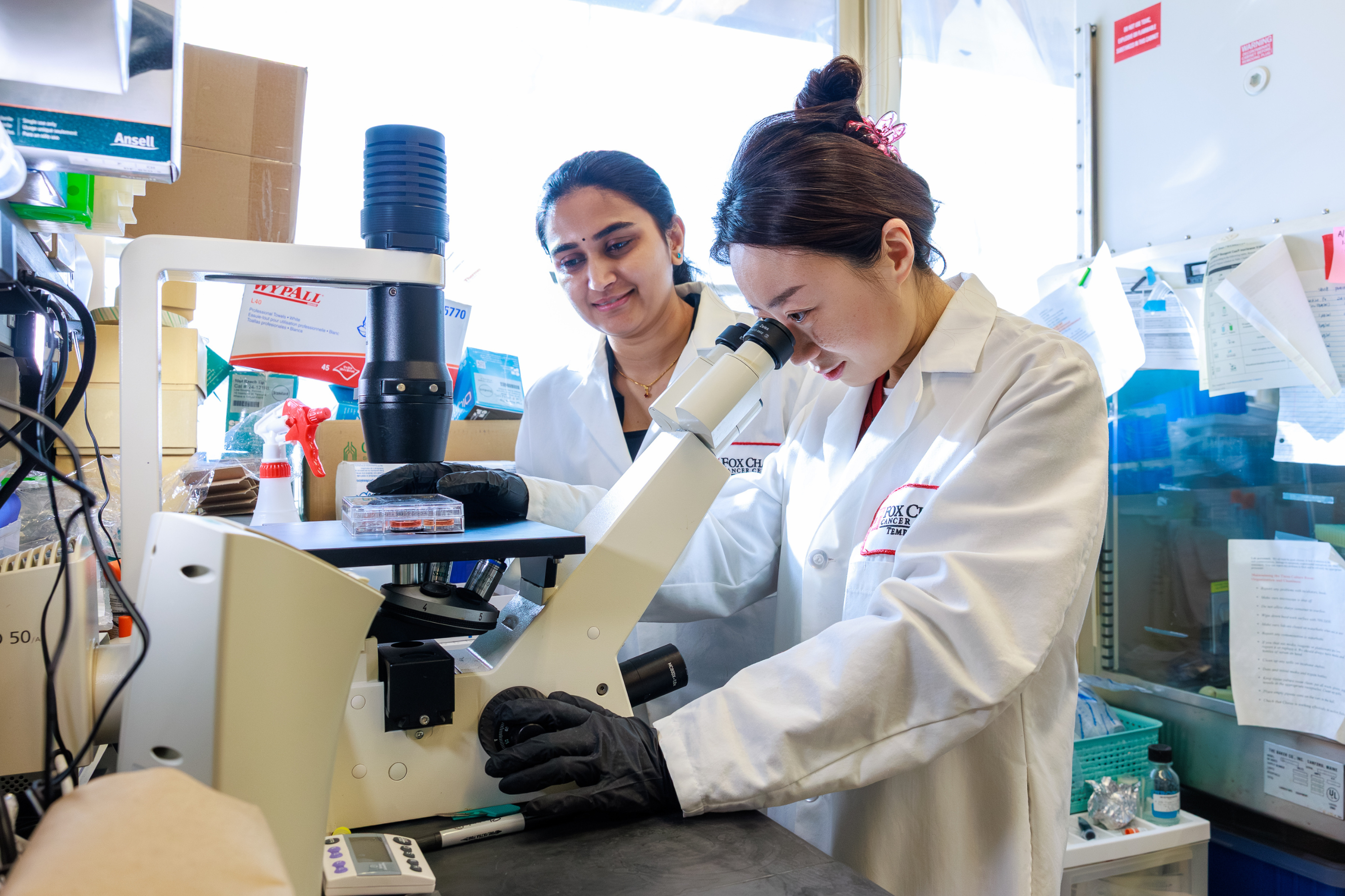 Drs. Chunxia Wen and Sony Maharjan pause to discuss a slide, sharing observations as their analysis unfolds.