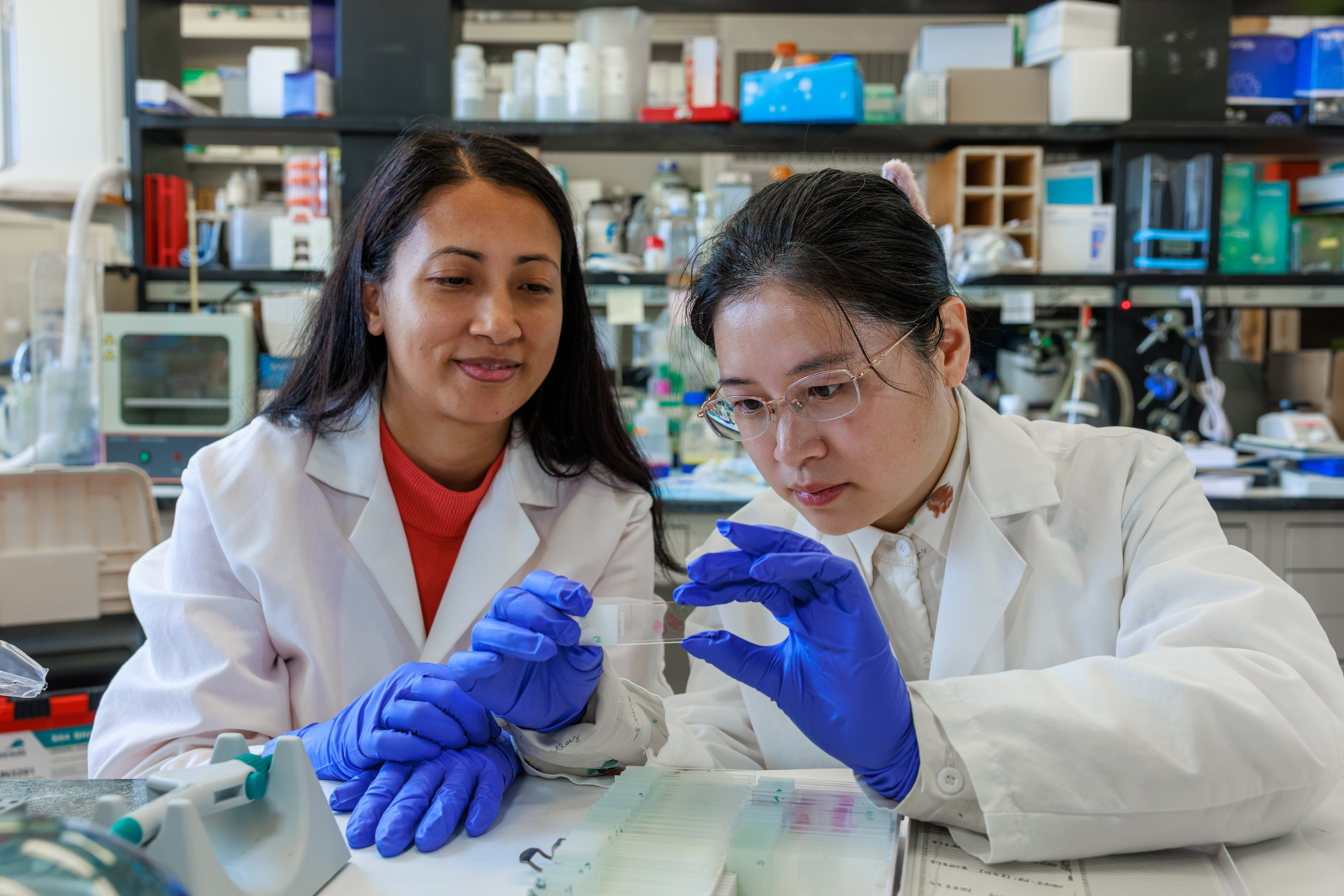 Drs. Chunxia Wen and Sony Maharjan pause to discuss a slide, sharing observations as their analysis unfolds.