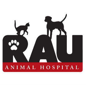 Rau