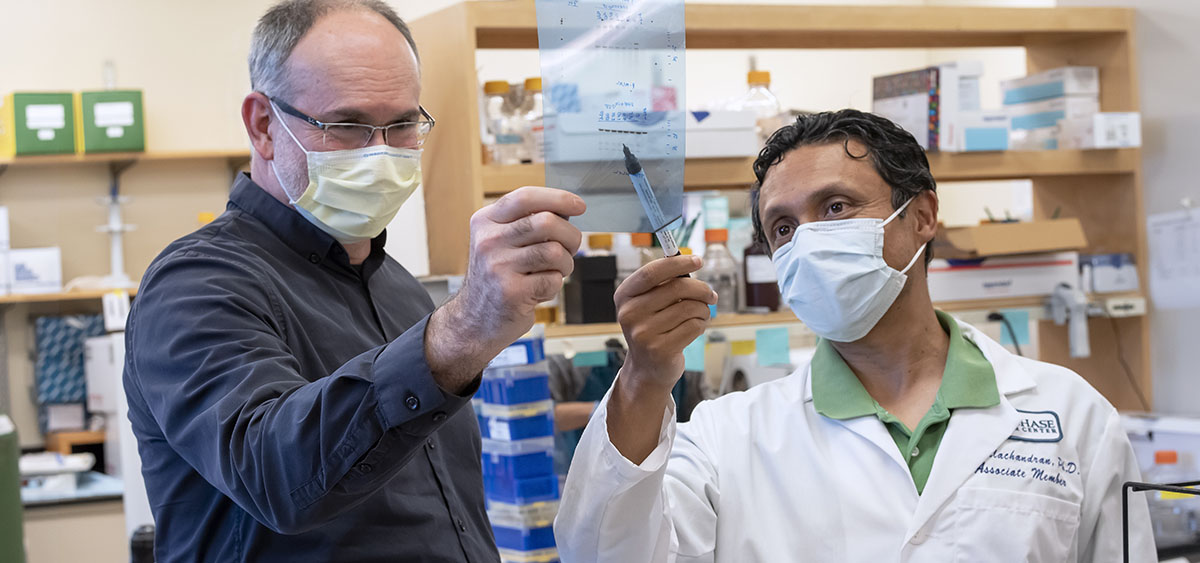  Siddharth Balachandran and David Wiest are the co-leaders of the blood cell development and function program at Fox Chase, which is dedicated to understanding the basic mechanisms of immune development and function to catalyze new opportunities for cancer treatment.