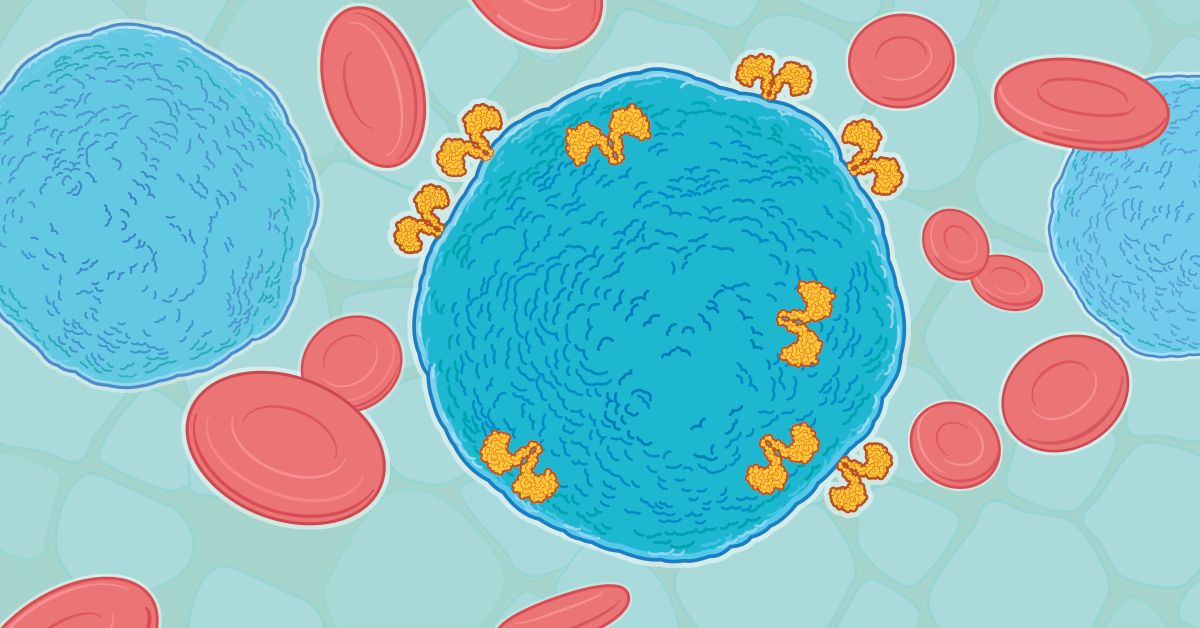 A drawing of a few large blue cells with yellow T-cells attached to one, and red blood cells floating around.