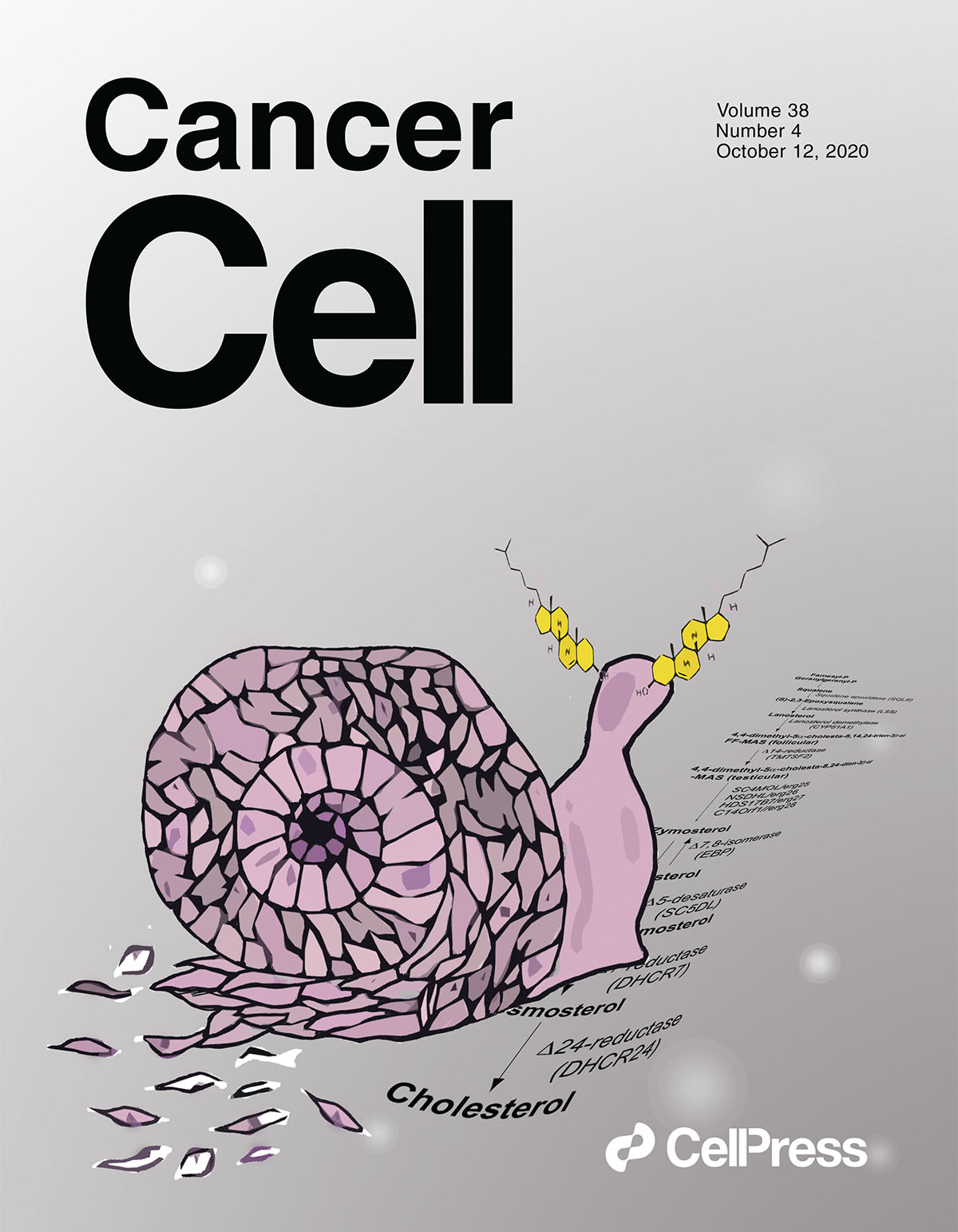 Research highlighting the role of lipids in controlling pancreatic cancer aggressiveness featured on the cover of the journal Cancer Cell.
