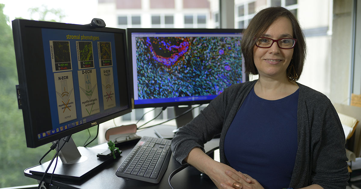 Edna Cukierman, associate professor in the Cancer Biology program and co-director of the Marvin and Concetta Greenberg Pancreatic Cancer Institute at Fox Chase.