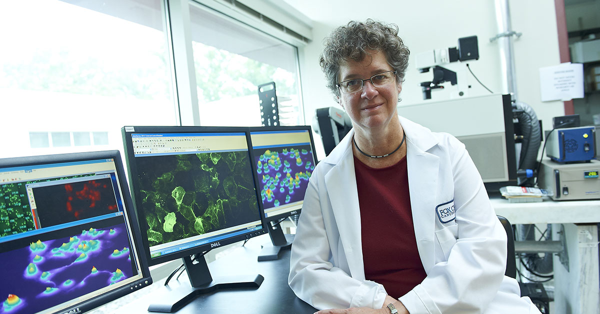 Erica Golemis, PhD, deputy chief science officer and co-leader of the Molecular Therapeutics Program at Fox Chase.