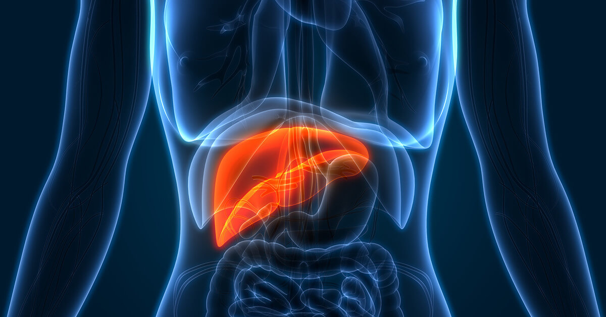 Fatty Liver Disease: What Everyone Should Know | Fox Chase Cancer Center -  Philadelphia PA