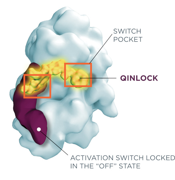 A new study has shown that patients taking the kinase inhibitor ripretinib, which turns off an activation switch to help prevent drug resistance in patients with gastrointestinal stromal tumors, had improved rates of survival versus patients taking placebo (Deciphera Pharmaceuticals).