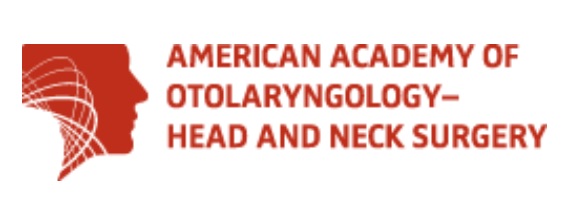 Link to /sites/default/files/assets/AAOHNS_0.jpg