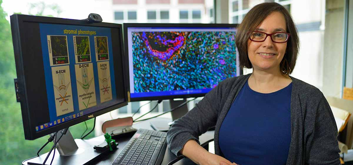Dr. Cukierman will draw on her proficiency in cellular imaging and fibroblastic stromal cells to perform a novel simultaneous multiplex immunofluorescent (SMI) approach in human melanoma tissue samples. This will be combined with customized software, developed by her team, for acquisition and bulk analysis of SMI-generated images. 