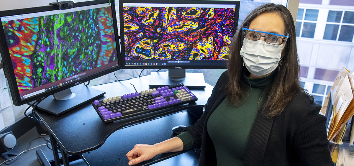 Edna Cukierman, PhD, member of the Cancer Signaling and Epigenetics research program at Fox Chase.