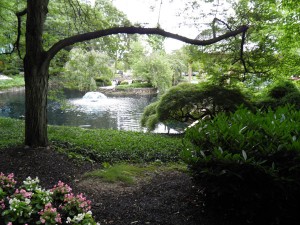 A scenic photo of a large body of water with a fountain in the middle, surrounded by lush green trees, grass, and shrubs.