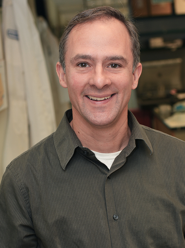 Jeffrey Peterson, PhD, associate professor of cancer biology with the Breast Cancer Translational Research Disease Group at Fox Chase, will expand upon his previous studies showing that TNBC cells have an increased reliance upon the antioxidant glutathione to avoid cell death through ferroptosis, a form of programmed cell death.