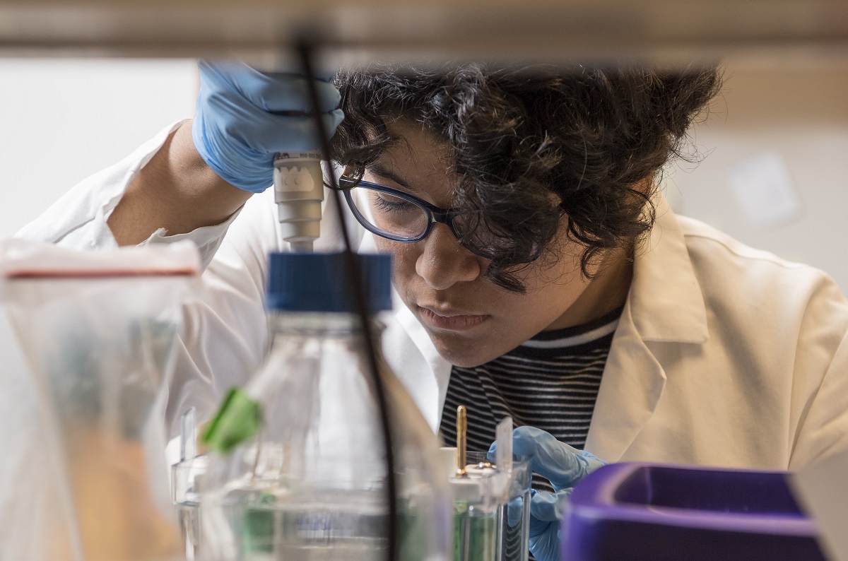 Undergraduate Research Programs | Fox Chase Cancer Center - Philadelphia PA