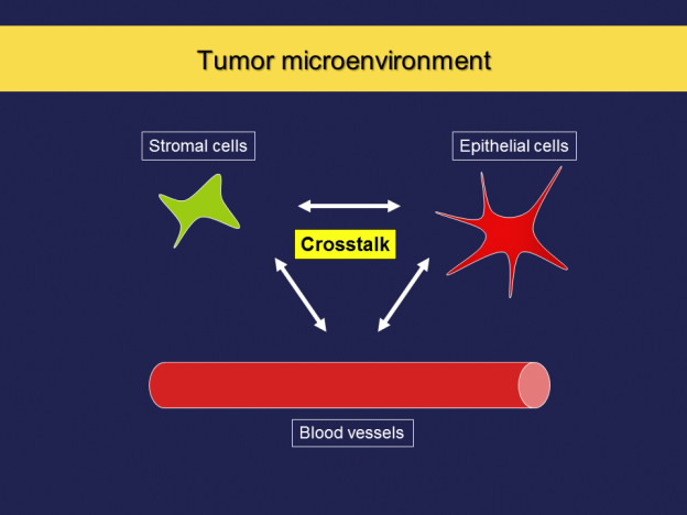 Tumor Microenvironment
