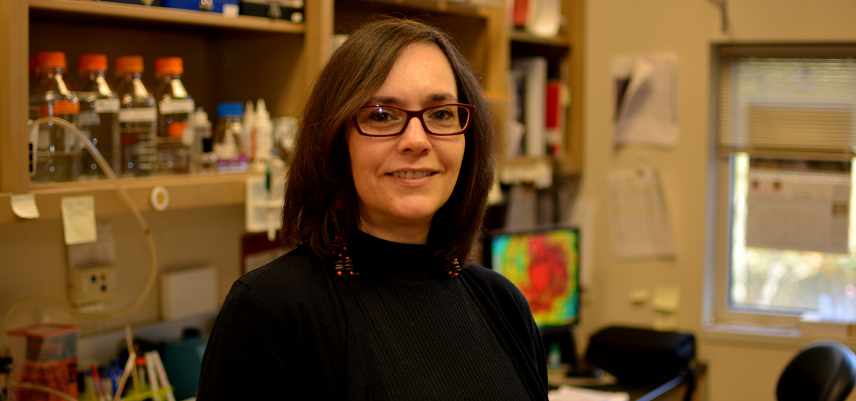 Edna Cukierman, PhD. Her paper states " treatments that could reprogram desmoplasia to become tumor-suppressive/restrictive or that could target tumoral ERK2 might provide new means for treating PDAC patients in the future.”