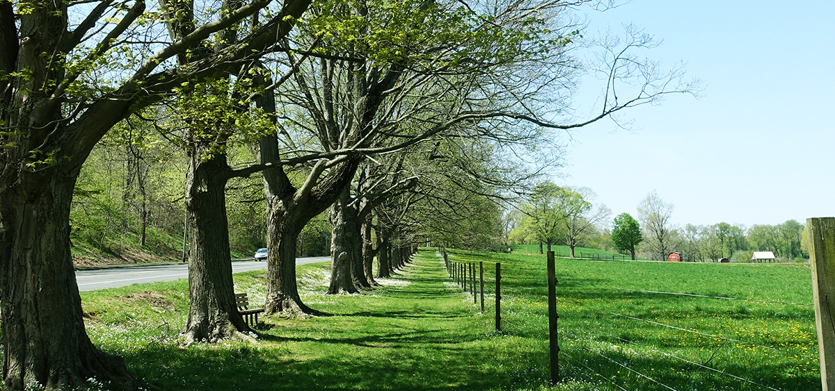 Friends of Fox Chase Farm