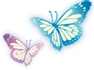 these are butterflies