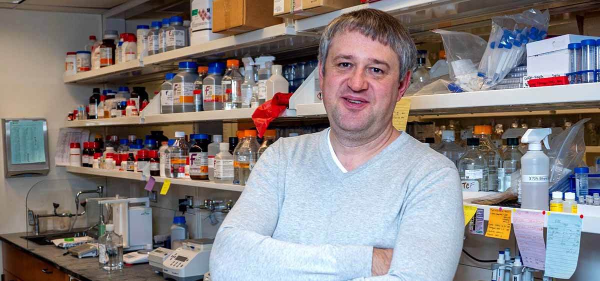 Sergei Grivennikov Appointed to AACR Tumor Microenvironment Steering