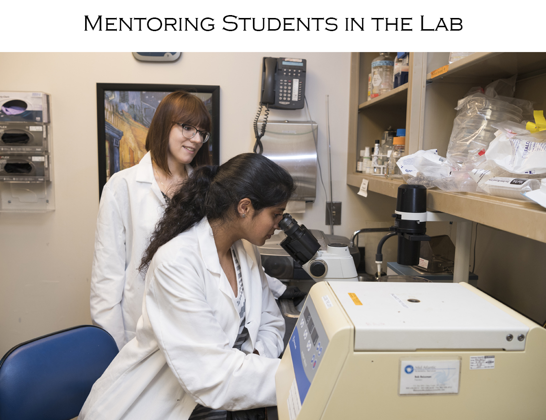 Mentoring Students in the Lab