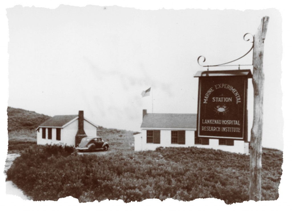 The Experimental Research Station at Truro, Massachusetts