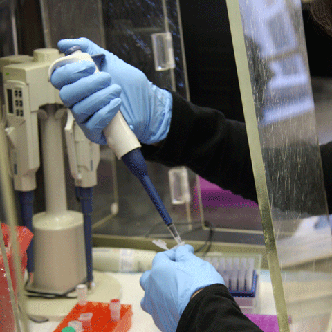 A close up photo of two gloved hands using a long cylindrical medical tool to put liquid into a small vial.