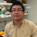 A portrait shot of Yifan Wang standing in a laboratory.