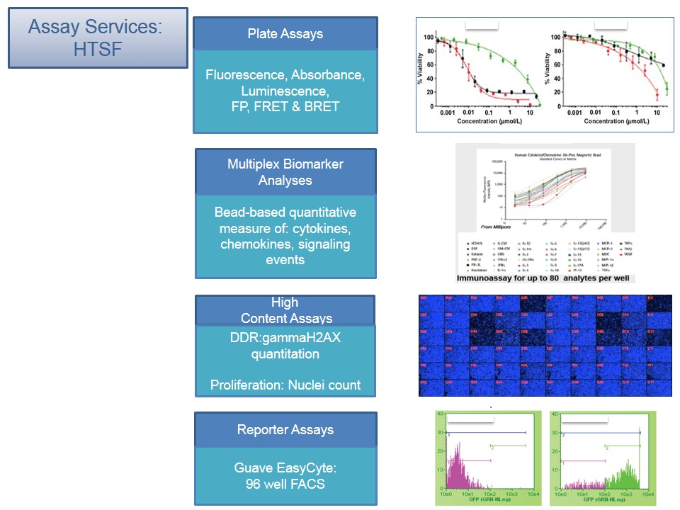einarson-m_Slide1.png Assay Services