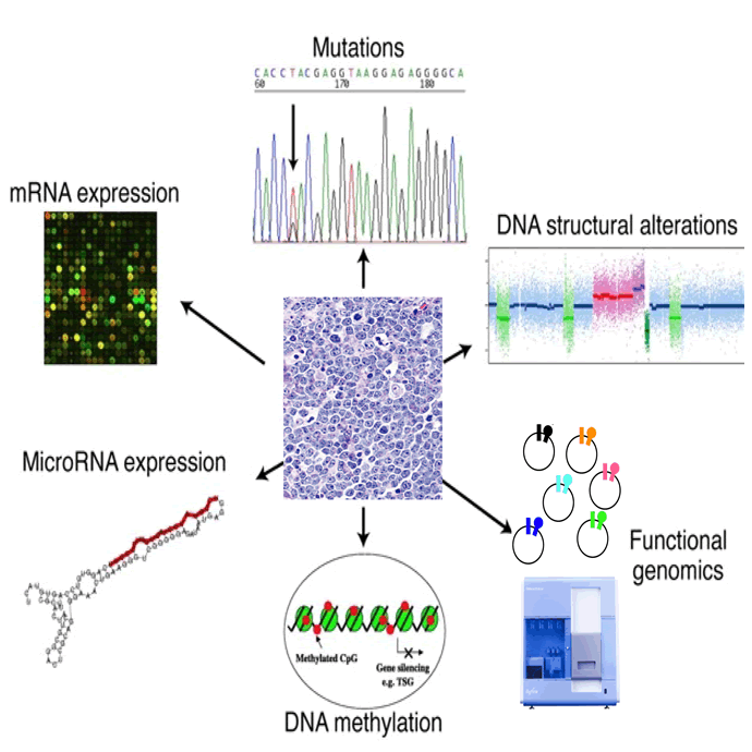 yang-y-01-Genomic-Assault-on-Cancer.png The Genomic Assault on Cancer