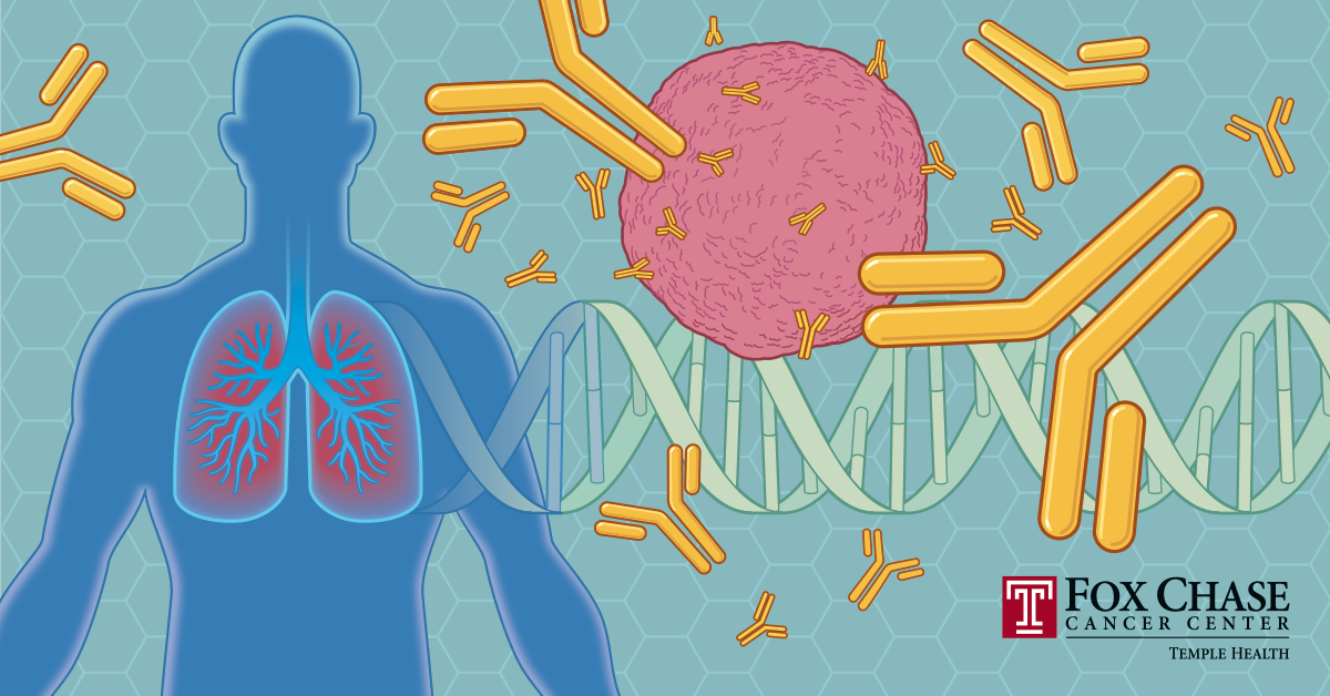 A drawing showing a person's lungs in their chest, with a pink circle depicting a cancer cell being surrounded by antibodies.