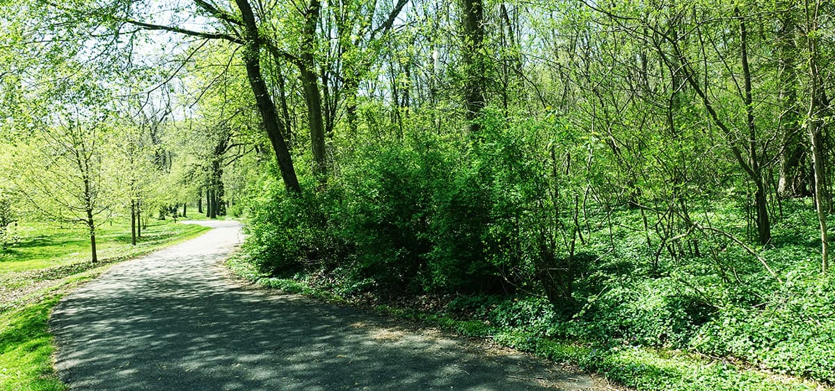 Finding Comfort and Calm in Nature  Fox Chase Cancer Center - Philadelphia  PA