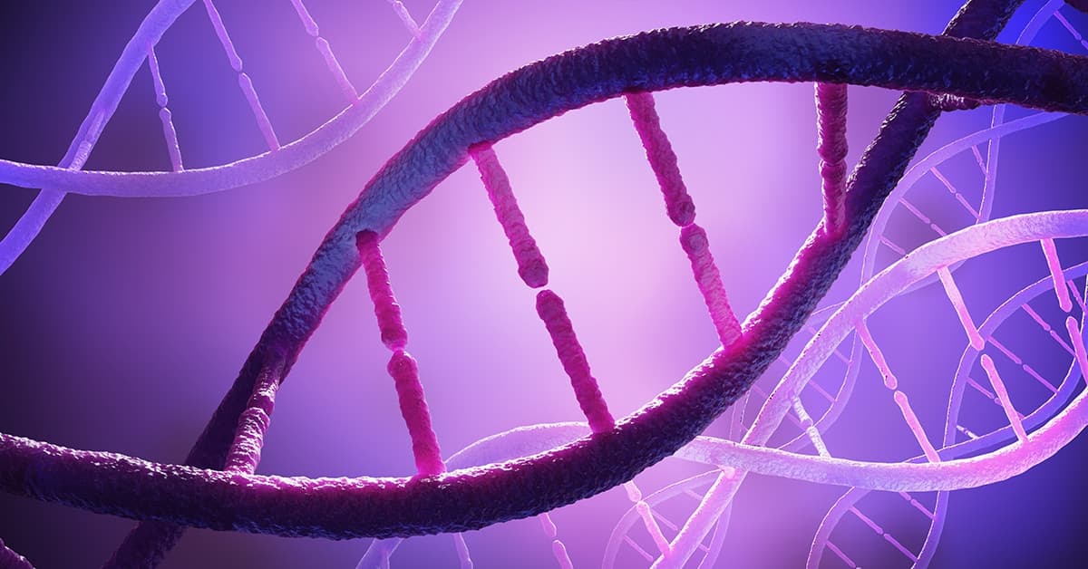 A artistic rendition of a several double helixes representing DNA in shades of purple.