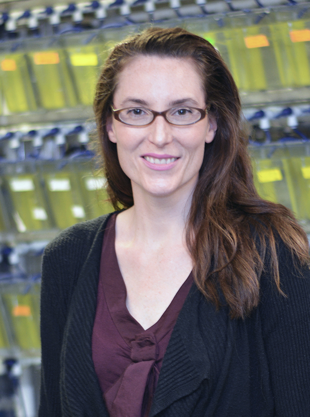 Jennifer Rhodes, PhD