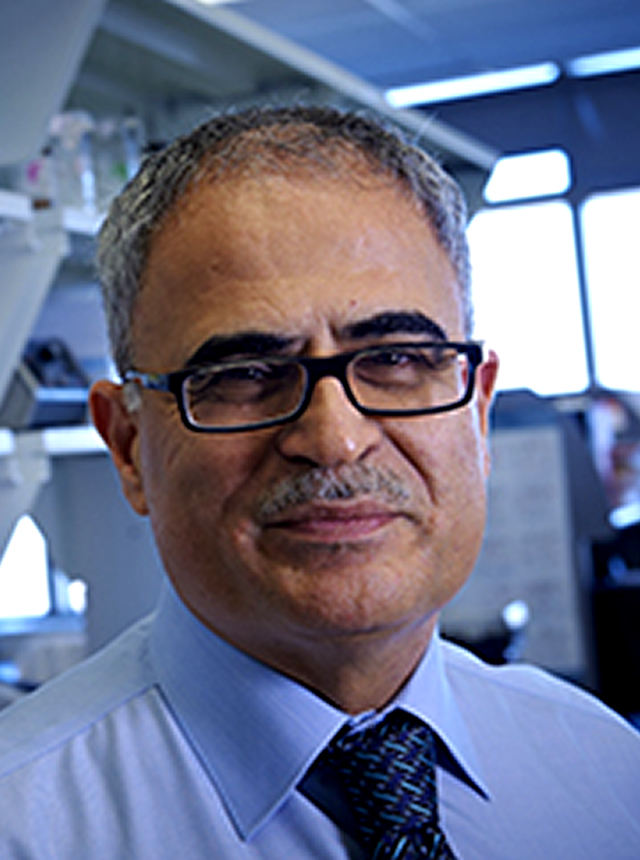 Kamel Khalili, PhD