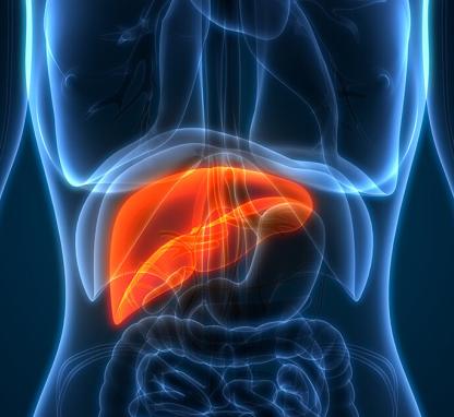 Link to /sites/default/files/styles/card/public/Fatty%20Liver%20Disease%20Blog%20Photo_0.jpg?h=2240b8e9&itok=X1Ih_vfF