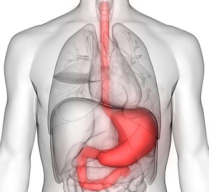 Link to /sites/default/files/styles/card/public/Gastric-Cancer-Risks-1200-628.jpg?h=2240b8e9&itok=1G4-VZi-