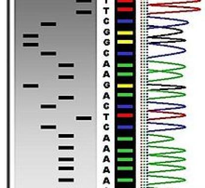 Link to /sites/default/files/styles/card/public/images/blog/thumb/DNA-Sequencing.jpg?h=799d519a&itok=2dzbP6Wv