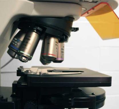 Link to /sites/default/files/styles/card/public/images/blog/thumb/thumb_research_microscope01.jpg?h=7985b236&itok=jYSVGQS2