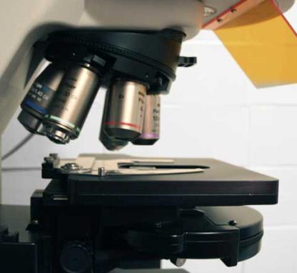 Link to /sites/default/files/styles/card/public/images/blog/thumb/thumb_research_microscope01_1.jpg?h=7f412c8f&itok=Xuk4tnQk