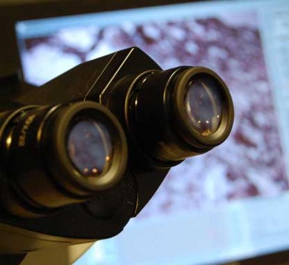 Link to /sites/default/files/styles/card/public/images/blog/thumb/thumb_research_microscope_0.jpg?h=7f412c8f&itok=JBseFOPc