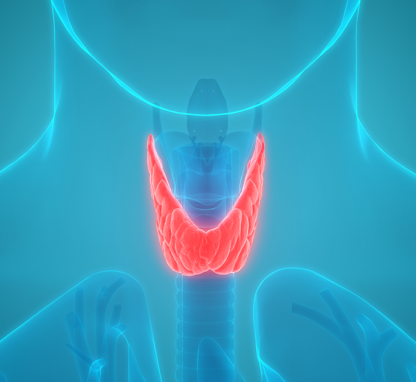 Link to /sites/default/files/styles/card/public/thyroid-cancer-appointment.png?h=2240b8e9&itok=YGeVUfXv