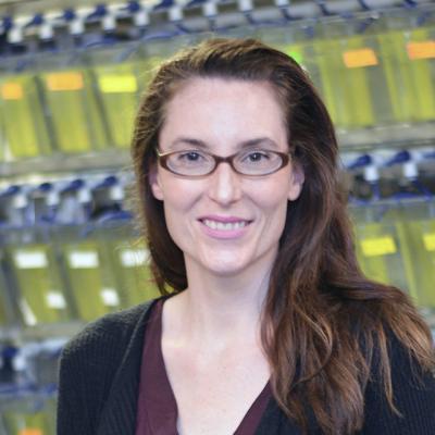 Jennifer Rhodes, PhD