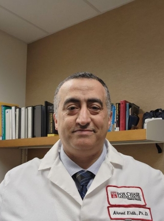 Ahmed Eldib PhD updated