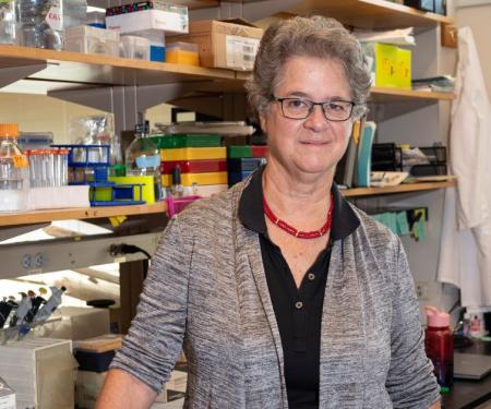 Erica Golemis, PhD in her lab