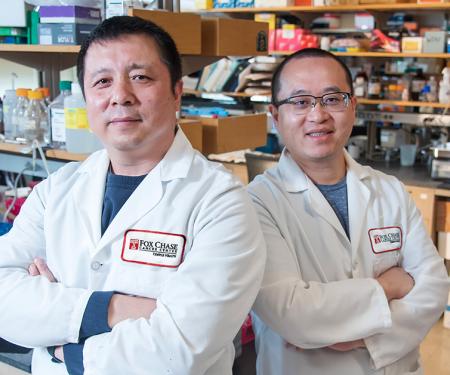 ZengJie Yang and Yijun Yang