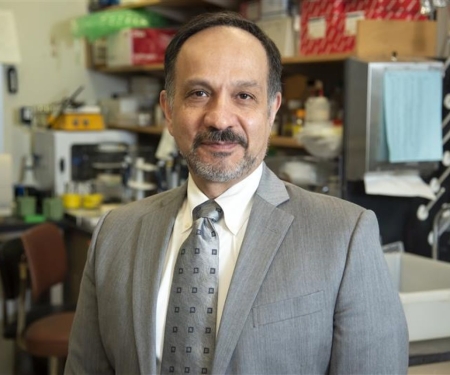 Hossein Borghaei