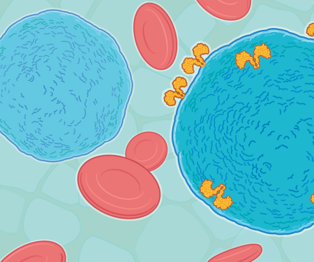 A drawing of a few large blue cells with yellow T-cells attached to one, and red blood cells floating around.