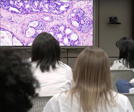 A photo from the back of a classroom showing several medical professionals in chairs all looking at a board at the front.