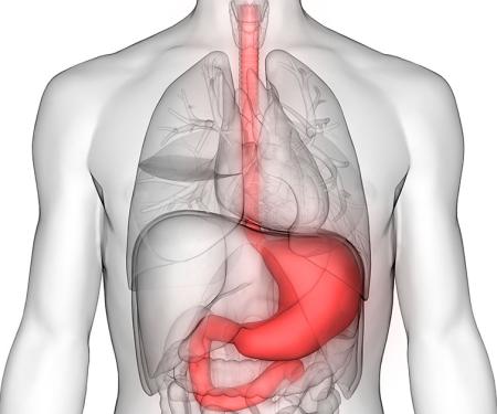 Link to /sites/default/files/styles/post_teaser_image_300x250_/public/Gastric-Cancer-Risks-1200-628.jpg?h=2240b8e9&itok=zABOzSsI