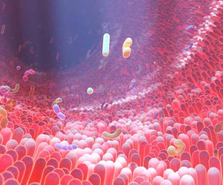 Link to /sites/default/files/styles/post_teaser_image_300x250_/public/Gut%20microbiome_0.jpg?h=2240b8e9&itok=43-wcWVR